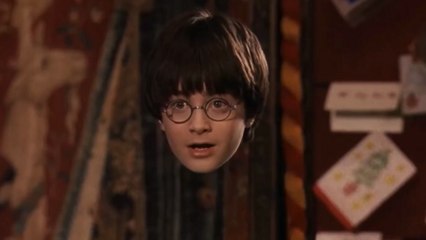 La cape d’invisibilité Harry Potter existe enfin !