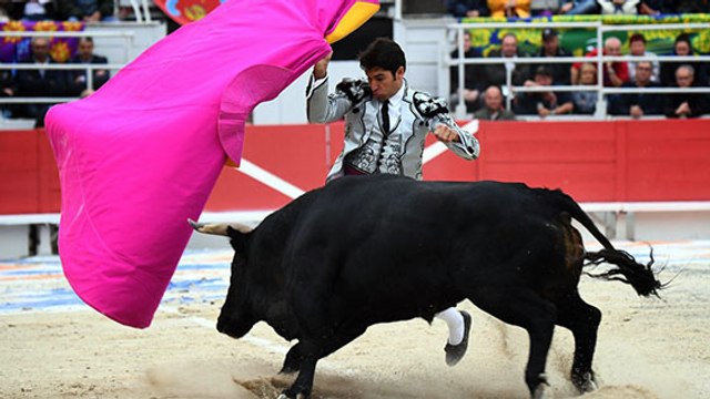 Trois écoles de tauromachie autorisées à poursuivre la formation auprès de mineurs