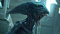 Pour les 40 ans d'Alien, la Fox va dévoiler 6 courts-métrages d'horreur dont voici le teaser