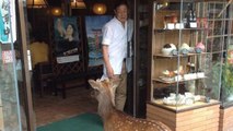 Au Japon, un cerf gourmand vient tous les jours devant le même restaurant !