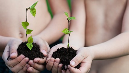 Il est désormais possible de transformer son corps en compost après sa mort