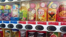 Curry from a Japanese Vending Machine