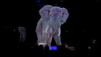 Un cirque allemand remplace les animaux par des hologrammes (VIDÉO)