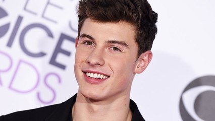 Shawn Mendes, égérie de Calvin Klein, fait grimper la température sur Instagram ! (PHOTO)