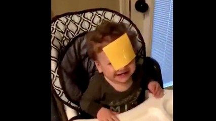 Nouveau challenge WTF : "le lancé de fromage sur bébé"