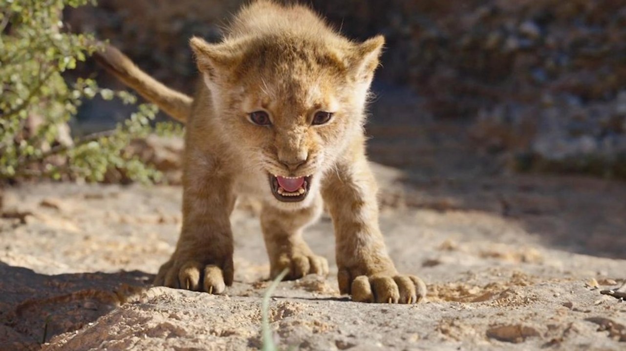 Quel personnage du Roi Lion êtes-vous selon votre signe astrologique ?