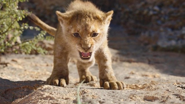 Quel personnage du Roi Lion êtes-vous selon votre signe astrologique ?