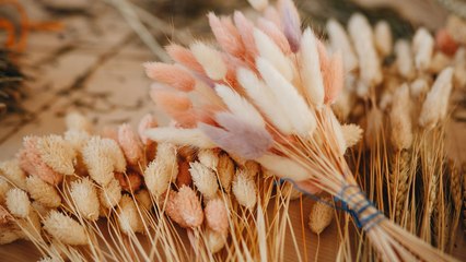 Comment réaliser un bouquet de fleurs séchées facilement ? (Vidéo)