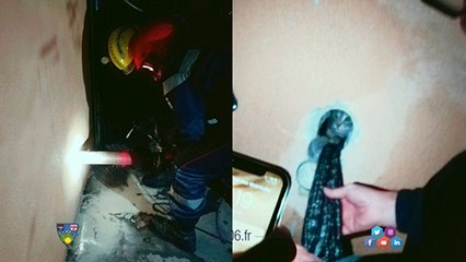 Un chaton coincé dans un immeuble a vécu un sauvetage hors-norme !