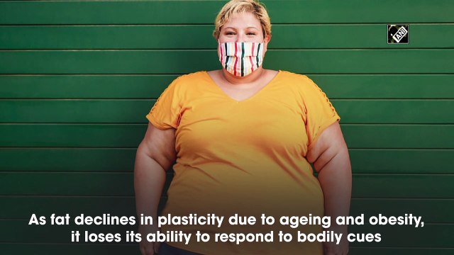 Researchers argue obesity isn't problem of excess fat but loss of function