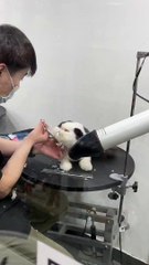 Baby Cats - Cute and Funny Cat Videos Compilation #cat #catvideos #funnycatvideos #cutecatvideos #catvideos2022 #funniestcatvideos #funnycatmoments #funnycatvideos2022 #funnycatanddogvideos #cattv (35)