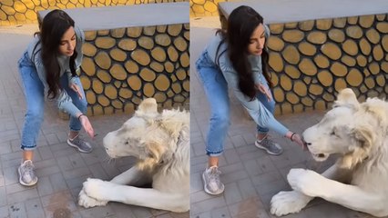 Nora Fatehi Lions के साथ खेलती और खाना खिलाती हुई आई नजर Video Viral । Boldsky