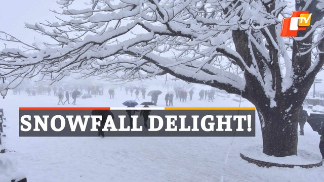 WATCH | Unexpected Snowfall In Shimla Enthralls All, Tourists React