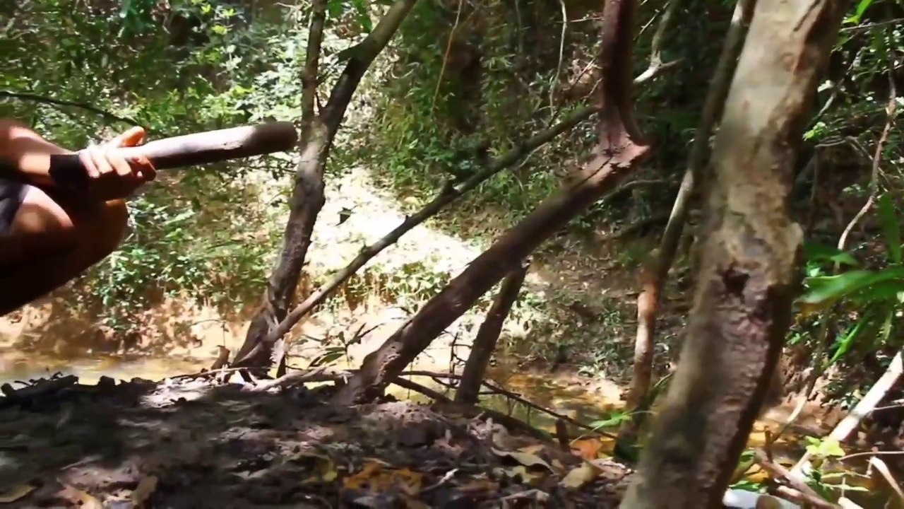 5 pounds of Pork Braised Summer Food give yourself a heat - Pig eating pork stew a good meal