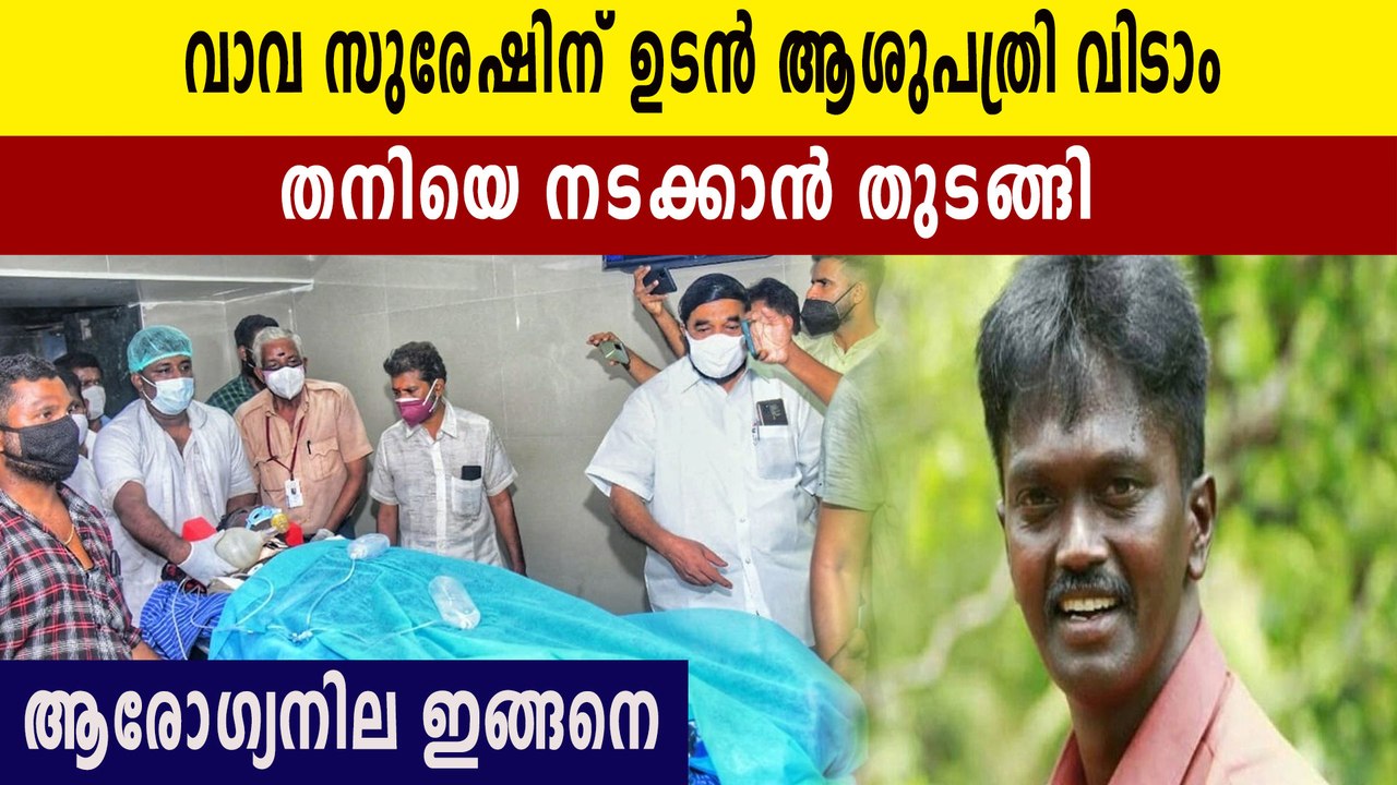 vava suresh health condition regains fitness after venomous snake bite