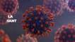Covid-19 : un nouveau variant du virus repéré en France