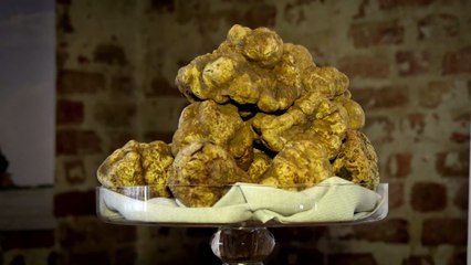 LIDL : Où trouver de la truffe pas chère pour les fêtes de Noël ?