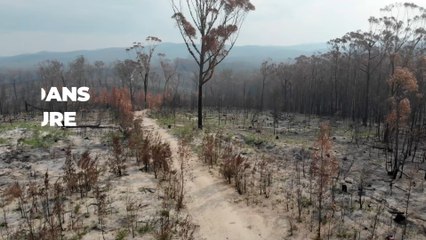 Ce qu'elle découvre dans la poignée de sa voiture est effrayant