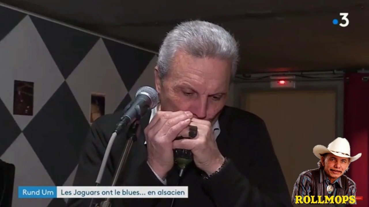 " LES JAGUARS GROUPE ROCK'N'ROLL DES ANNÉES 1960 DE SAINT LOUIS ALSACE SUPER REPORTAGES  DE MES SUPER AMIS A++ROLLMOPS "