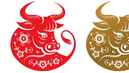 Astrologie : que vous réserve l'année du Buffle ?