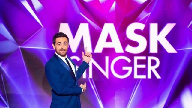 Mask Singer : la Renarde et le Hibou démasqués, mais qui étaient-ce ?