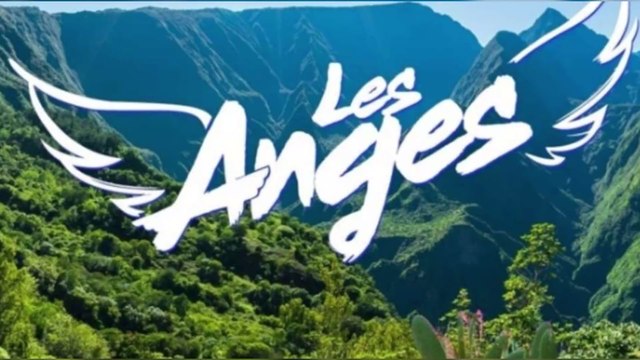 Télé-réalité : des candidats de l'émission Les Anges auraient agressé un maire, à la Réunion