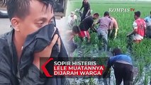 Truk Bermuatan Lele Jatuh ke Sawah, Warga Malah Berebut Lele
