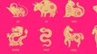 Tigre : tout ce qu'il faut savoir sur ce signe astrologique chinois