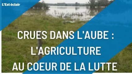 Aube : comment soulager les agriculteurs face aux crues