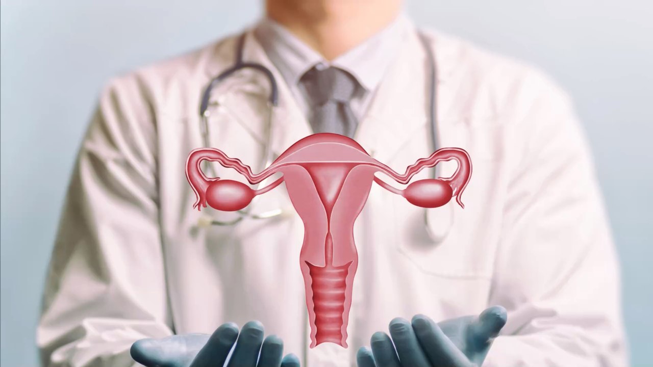 Naissance du premier bébé né d'une greffe d'utérus en France