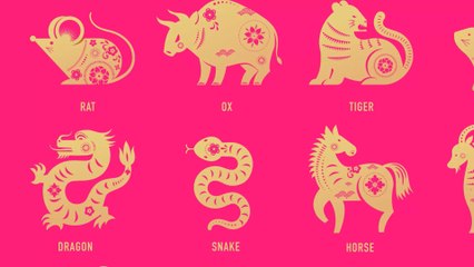 Serpent : tout ce qu'il faut savoir sur ce signe chinois