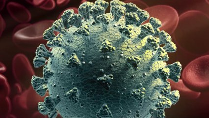 Covid-19 : ces villes touchées par la mutation du virus