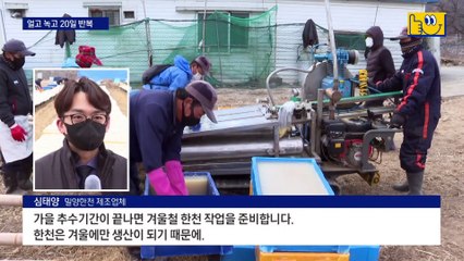 100년 이어온 한겨울 한천 말리기…식이섬유 풍부 ‘인기’