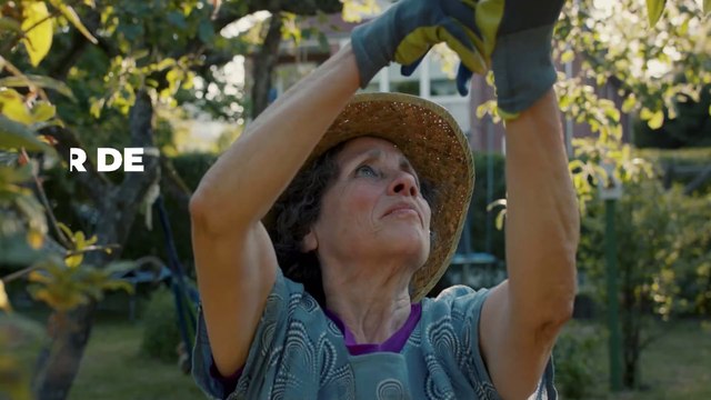 Jardinage, à quelle période faut-il arrêter de tailler les haies et élaguer les arbres ?