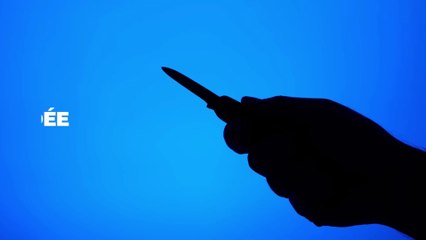 Une collégienne de 14 ans violemment poignardée lors d'une rixe entre bandes, que s’est-il vraiment passé ?