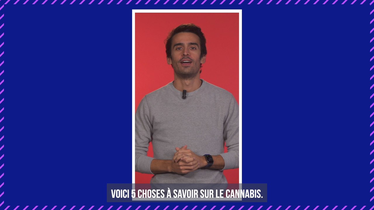 Santé : le cannabis, nouveau remède pour soulager les migraines ? Un essai clinique est en cours