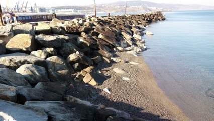 Bandırma’da deniz çekilmesi bir aydır devam ediyor