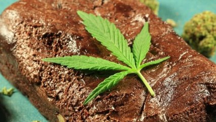 Holiday 2017: The World's Biggest Space Cake Given Out For Free At A Zurich Christmas Market!