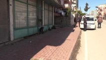 Sokağa terkedilen yasaklı ırk köpek, barınağa yerleştirildi