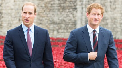 This Is The Real Reason Harry And William Are Boycotting The World Cup