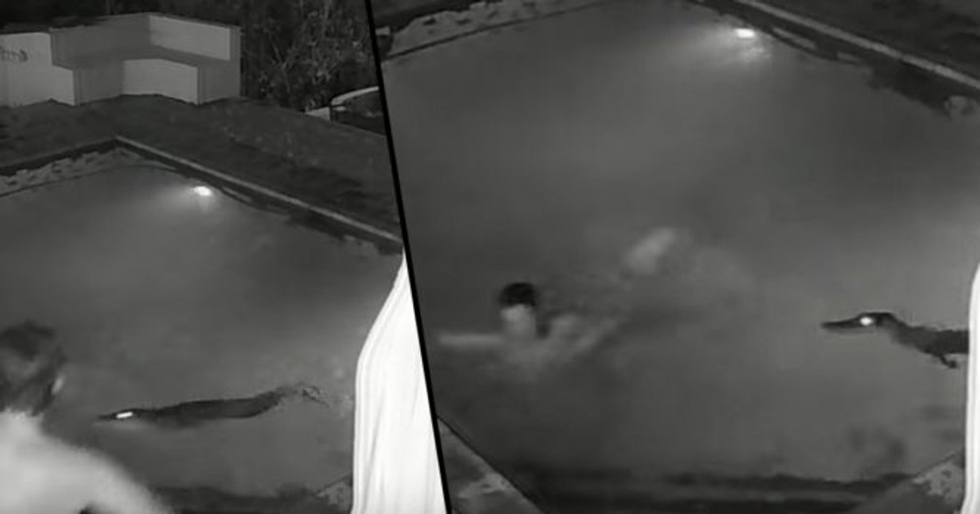 This Couple Were Having A Romantic Late Night Dip... Until They Were Interrupted By Something Terrifying