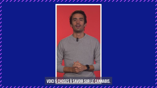 Cannabis : les produits à base de CBD bientôt autorisés en France sous certaines conditions