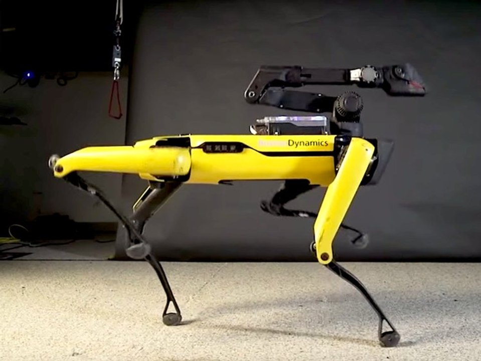 Robot Dog Does An Amazing Dance To Uptown Funk