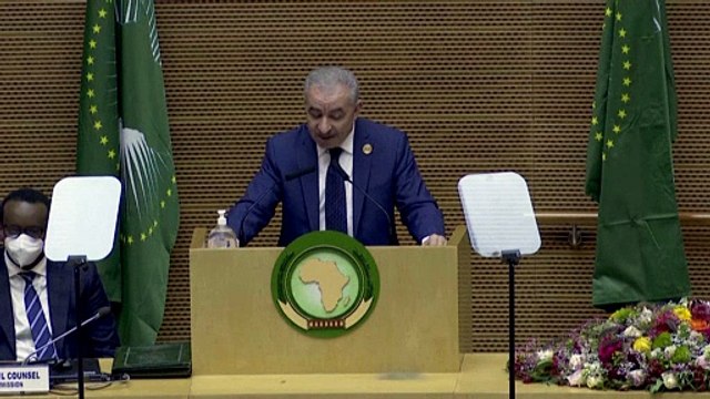 Палестина призвала лишить Израиль статуса наблюдателя в Африканском союзе