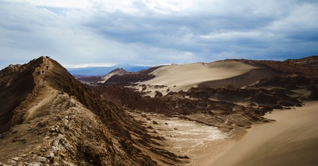 In The Driest Desert In The World, Rain Means Death