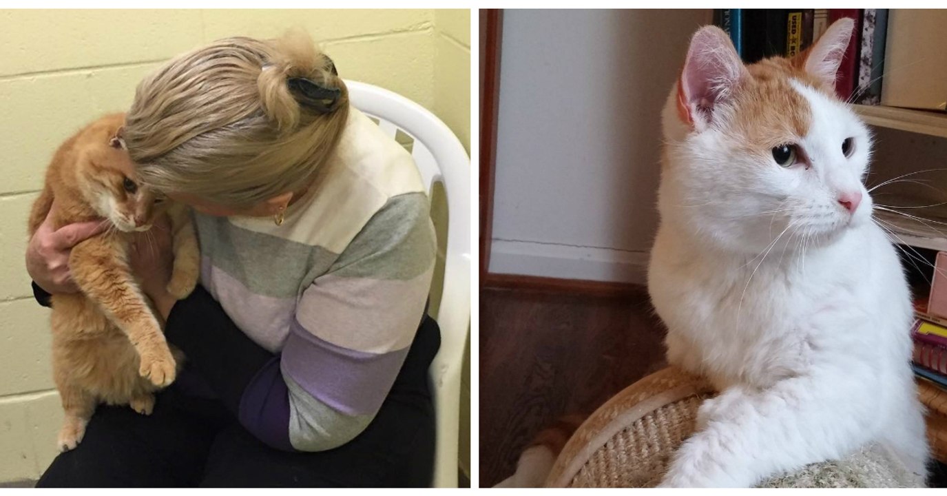 Just Hours After Adopting Her Cat, This Woman Was Forced To Rush Back To The Shelter