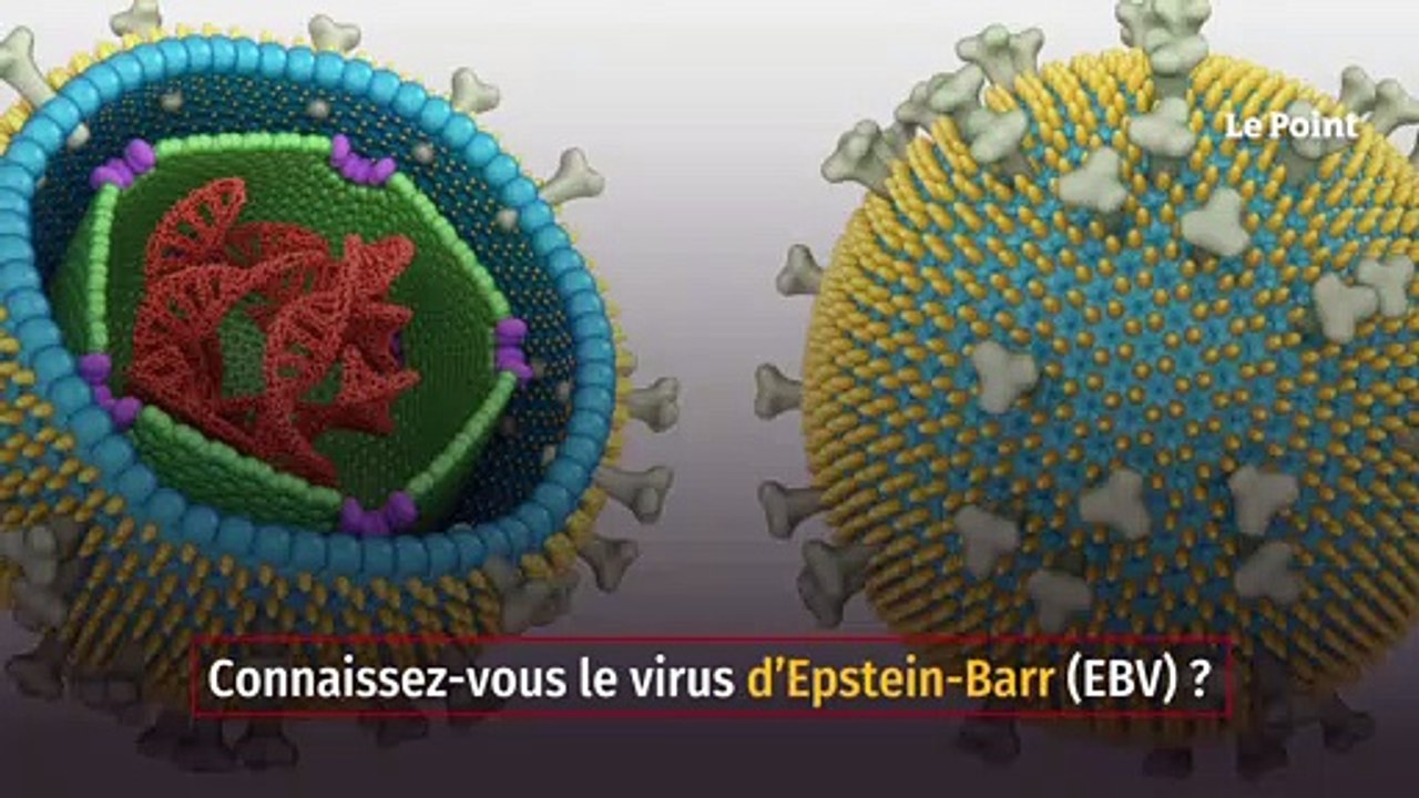 L’origine de la sclérose en plaques découverte ?