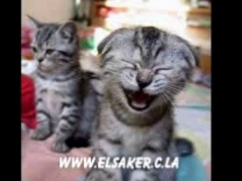 Fokaha 05 lol mdr dahka 2008