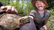 He Let An Alligator Snapping Turtle Bite His Arm And Immediately Regretted It