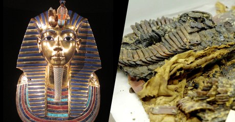 King Tut Was Not At All Who We Thought He Was According To Recent Findings